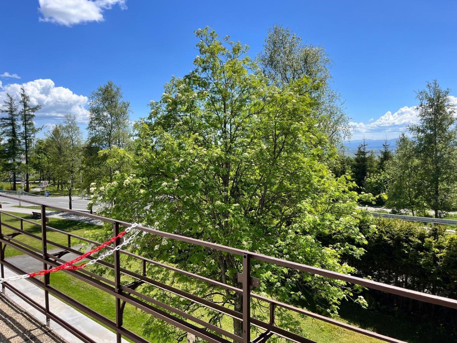 Penzion Villa Gerlach Vysoke Tatry Exterior photo